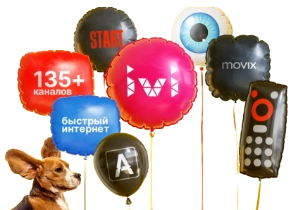 Услуги Дом.ру в деревне Меркульево